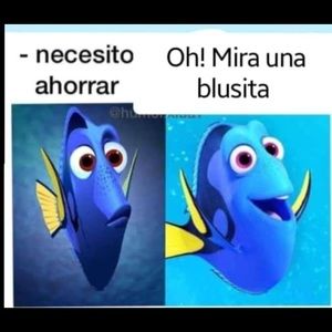 Meet your Posher, Kattya